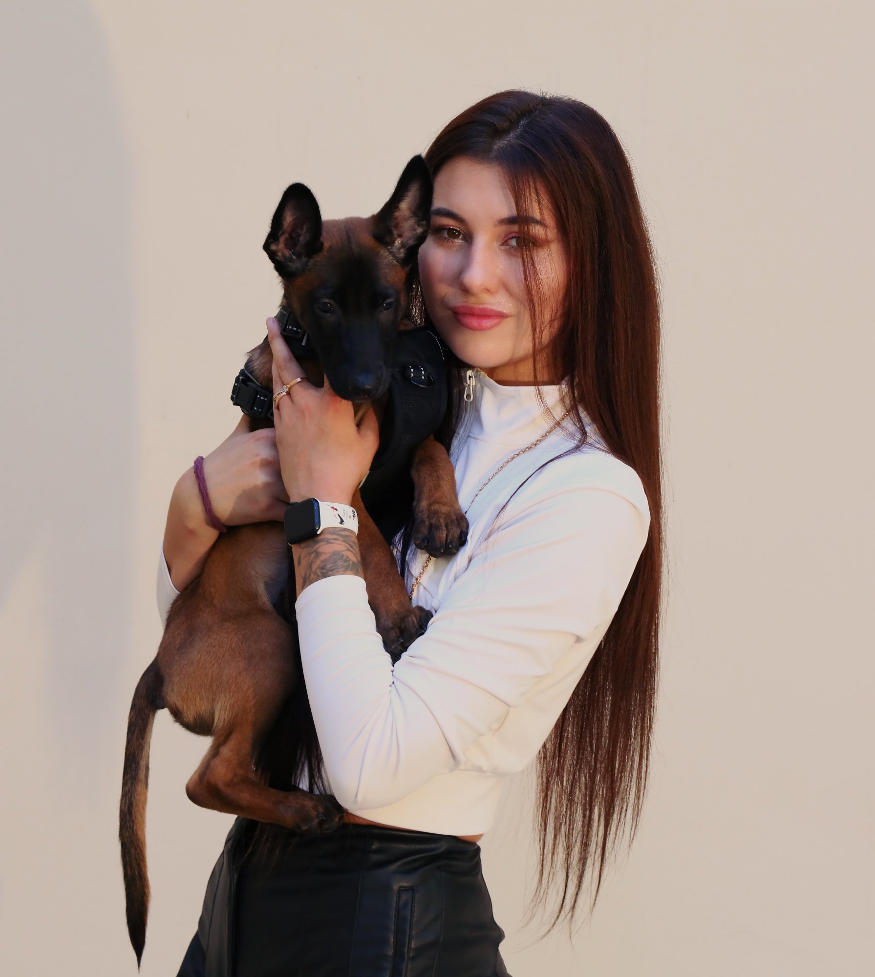 Dog Training